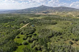 276 Sycamore Rd, Craig, CO 81625 - Photo 6