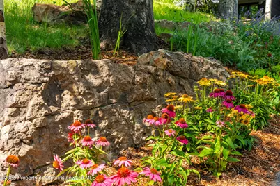 198 Edgewood Lane, Snowmass Village, CO 81615 - Photo 50