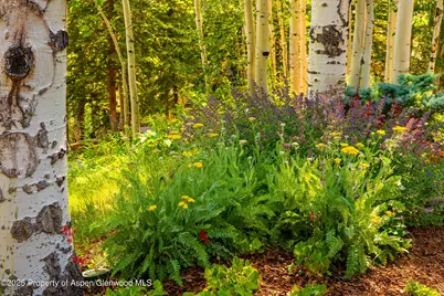198 Edgewood Lane, Snowmass Village, CO 81615 - Photo 48