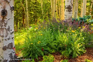 198 Edgewood Ln, Snowmass Village, CO 81615 - Photo 48