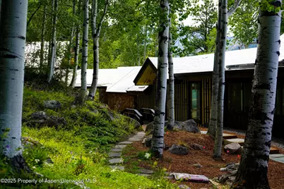 44481 Highway 82, Aspen, CO 81611 - Photo 6