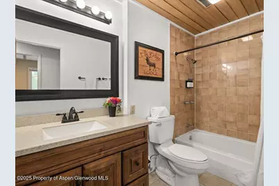 35 Lower Woodbridge Road #171, Snowmass Village, CO 81615 - Photo 10