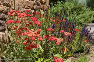 111 S Sixth Street St, Aspen, CO 81611 - Photo 42