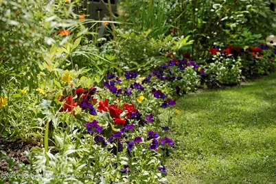 111 S Sixth Street Street, Aspen, CO 81611 - Photo 40