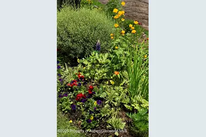 111 S Sixth Street Street, Aspen, CO 81611 - Photo 60