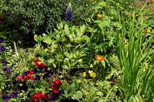 111 S Sixth Street St, Aspen, CO 81611 - Photo 60