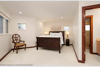 208 S Spring Street #1, Aspen, CO 81611 - Photo 20