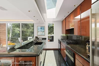 208 S Spring Street #1, Aspen, CO 81611 - Photo 10