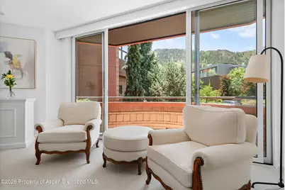 208 S Spring Street #1, Aspen, CO 81611 - Photo 16