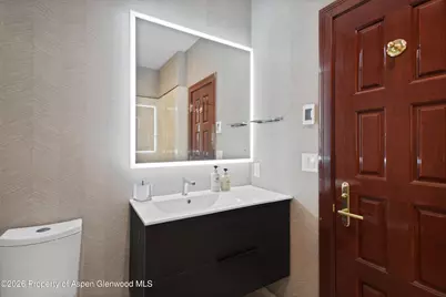 208 S Spring Street #1, Aspen, CO 81611 - Photo 32