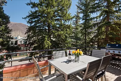 208 S Spring Street #1, Aspen, CO 81611 - Photo 10