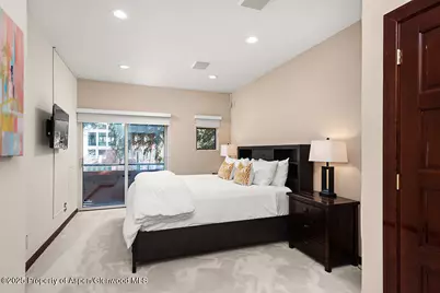 208 S Spring Street #1, Aspen, CO 81611 - Photo 16