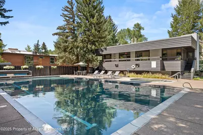 1039 E Cooper Avenue #21A, Aspen, CO 81611 - Photo 32