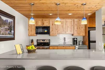 1039 E Cooper Avenue #21A, Aspen, CO 81611 - Photo 10