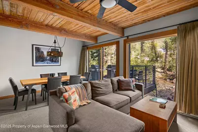 1039 E Cooper Avenue #21A, Aspen, CO 81611 - Photo 6