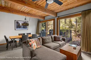 1039 E Cooper Ave, Aspen, CO 81611 - Photo 6