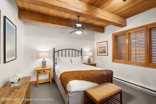 1039 E Cooper Ave, Aspen, CO 81611 - Photo 18