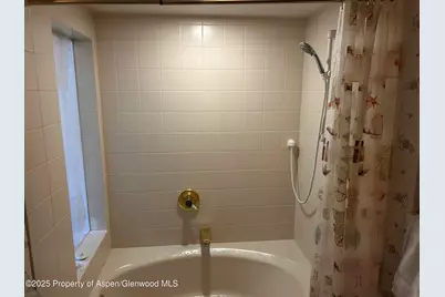 410 N Mill Street, Aspen, CO 81611 - Photo 8