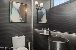 627 E Hopkins Ave, Aspen, CO 81611 - Photo 14