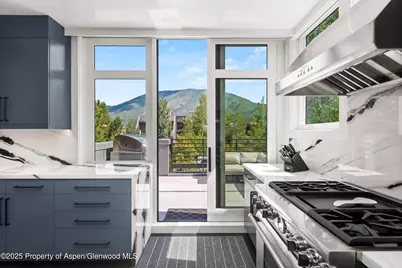 627 E Hopkins Avenue, Aspen, CO 81611 - Photo 12