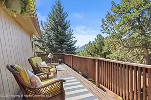 217 Longhorn Ln, Basalt, CO 81621 - Photo 18