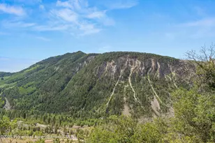 860 Serpentine Trail, Marble, CO 81623 - Photo 40