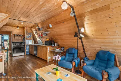 860 Serpentine Trail, Marble, CO 81623 - Photo 26