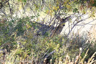 2586 26 1/10 Road, Gateway, CO 81522 - Photo 48