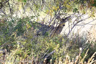 2586 26 1/10 Rd, Gateway, CO 81522 - Photo 48