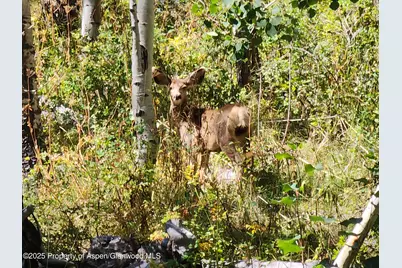 2586 26 1/10 Road, Gateway, CO 81522 - Photo 46