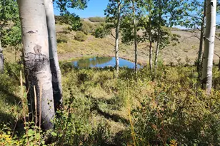 2586 26 1/10 Rd, Gateway, CO 81522 - Photo 18