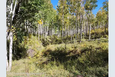 2586 26 1/10 Road, Gateway, CO 81522 - Photo 44