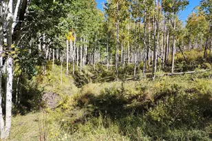 2586 26 1/10 Rd, Gateway, CO 81522 - Photo 44