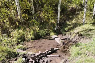 2586 26 1/10 Rd, Gateway, CO 81522 - Photo 40