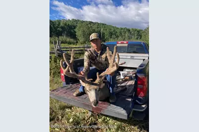 2586 26 1/10 Road, Gateway, CO 81522 - Photo 50