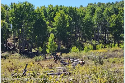 2586 26 1/10 Road, Gateway, CO 81522 - Photo 20