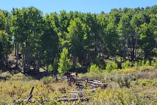 2586 26 1/10 Rd, Gateway, CO 81522 - Photo 20