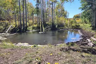 2586 26 1/10 Rd, Gateway, CO 81522 - Photo 42