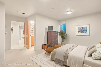 734 W Smuggler Street, Aspen, CO 81611 - Photo 26