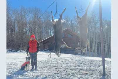 943 Routt Forest Drive, Craig, CO 81625 - Photo 100