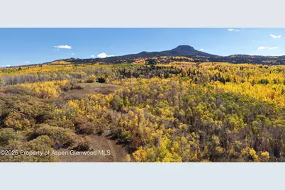 943 Routt Forest Drive, Craig, CO 81625 - Photo 114