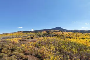 943 Routt Forest Dr, Craig, CO 81625 - Photo 114