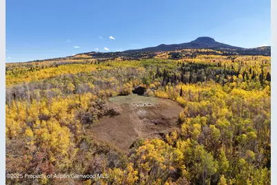 943 Routt Forest Drive, Craig, CO 81625 - Photo 2