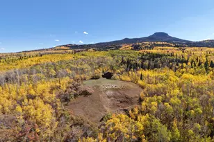 943 Routt Forest Dr, Craig, CO 81625 - Photo 2