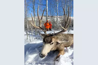 943 Routt Forest Drive, Craig, CO 81625 - Photo 104