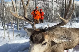 943 Routt Forest Dr, Craig, CO 81625 - Photo 104