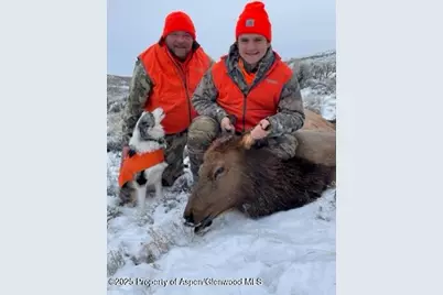 943 Routt Forest Drive, Craig, CO 81625 - Photo 102