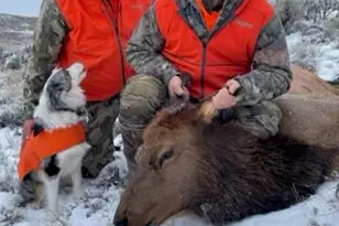 943 Routt Forest Dr, Craig, CO 81625 - Photo 102