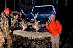 943 Routt Forest Dr, Craig, CO 81625 - Photo 110