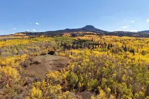 943 Routt Forest Dr, Craig, CO 81625 - Photo 120